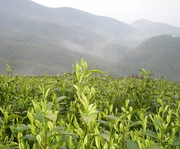 雙頭精雕機(jī)和單頭精雕機(jī)比有什么優(yōu)勢？在選擇時要考慮什么因素？